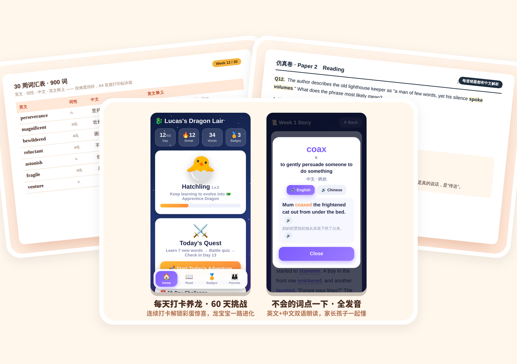 程序 + 仿真卷 + 30 周词汇表：全套全部内容